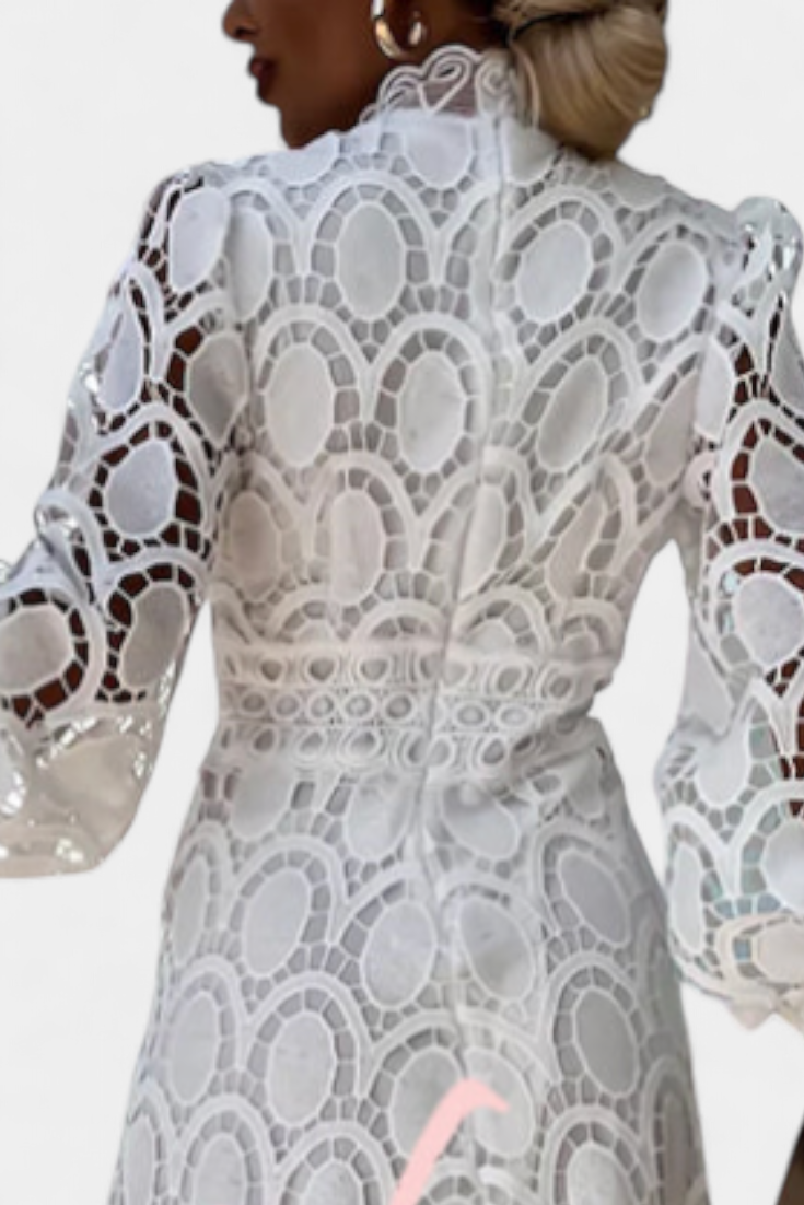 Lucinda Abito midi in pizzo con Maniche Farol e Collo alto